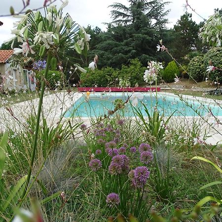 Villa Entiere Du Chateau Lacroix De Civrac 3 Ch, 3 Sdb, Piscine Xxl,Sauna, 4 Etoiles,7 Pers Экстерьер фото